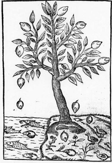 Claude Duret (1570 - 1611) - photo 1